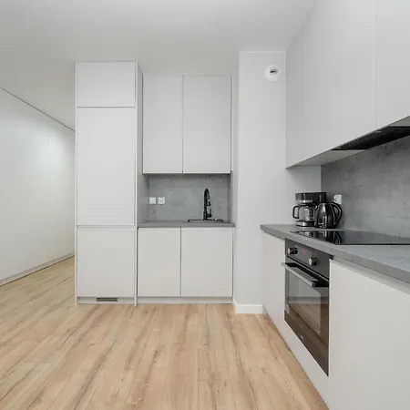 Appartement Elegant In The Center Of With Free Garage By Renters