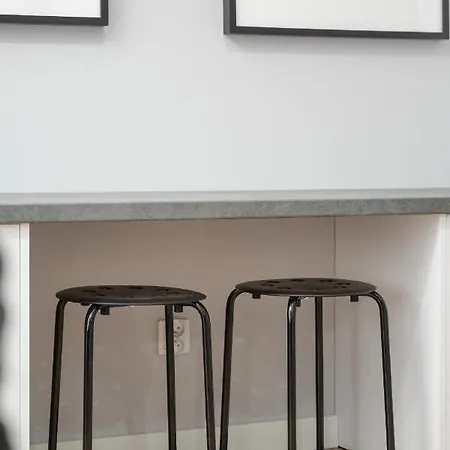 Apartment Elegant In The Center Of With Free Garage By Renters Breslau